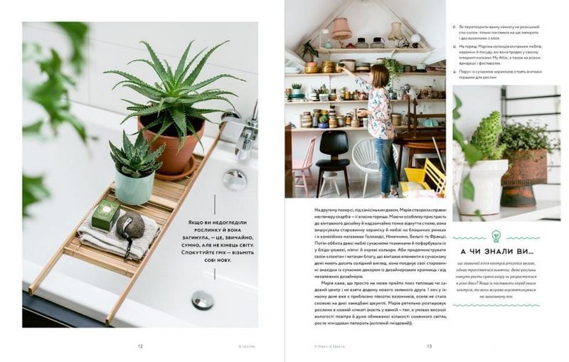 Міські джунглі. Або як рослини допомагають нам творити гармонію і стиль - фото 7