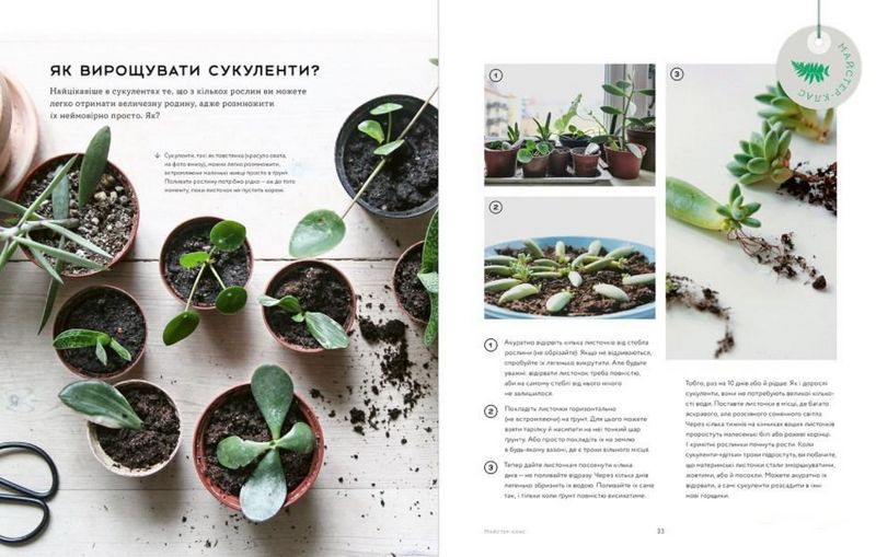 Міські джунглі. Або як рослини допомагають нам творити гармонію і стиль - фото 8