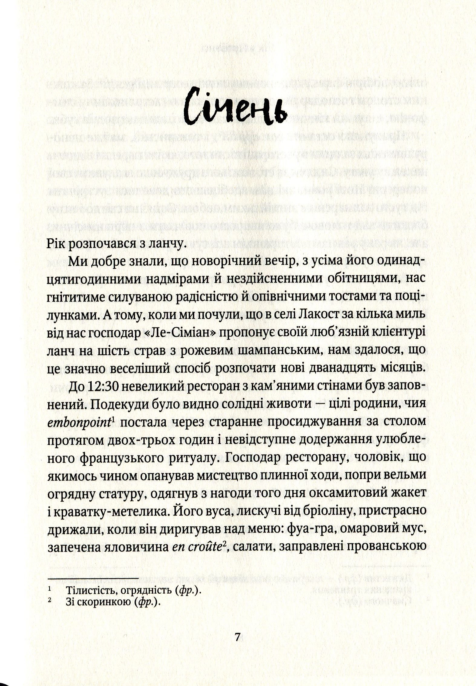 Рік у Провансі - фото 4