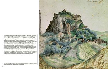 Durer in Detail (LUDION) - фото 6