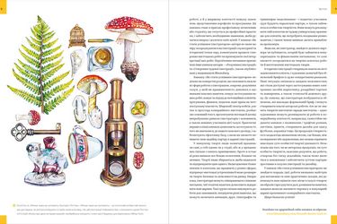 Як стати успішним ілюстратором - фото 4