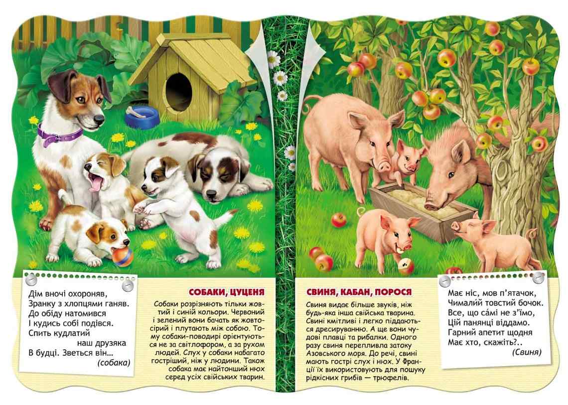 Книжка-картонка Тварини на подвір`ї Малятко-розумнятко В. Федієнко Школа - фото 2