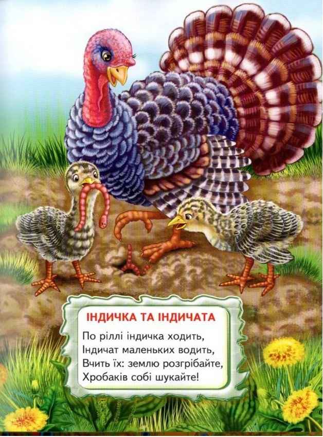 Промінець Віршики-цікавинки Гуріна В. Белкар-книга - фото 3