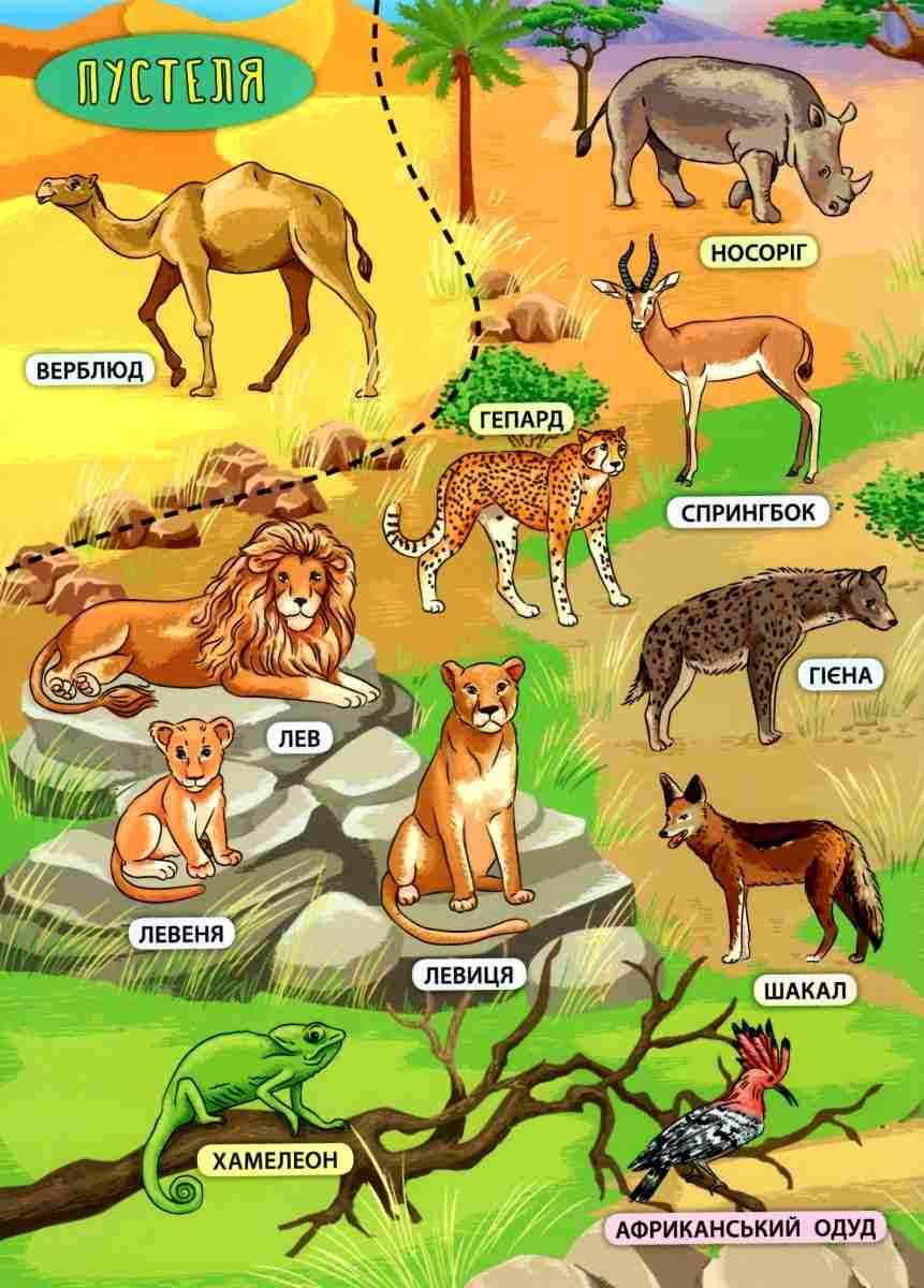 Енциклопедія з наліпками Тварини світу Смирнова К. УЛА - фото 2