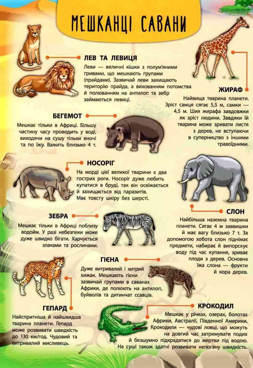 Енциклопедія з наліпками Тварини світу Смирнова К. УЛА - фото 3