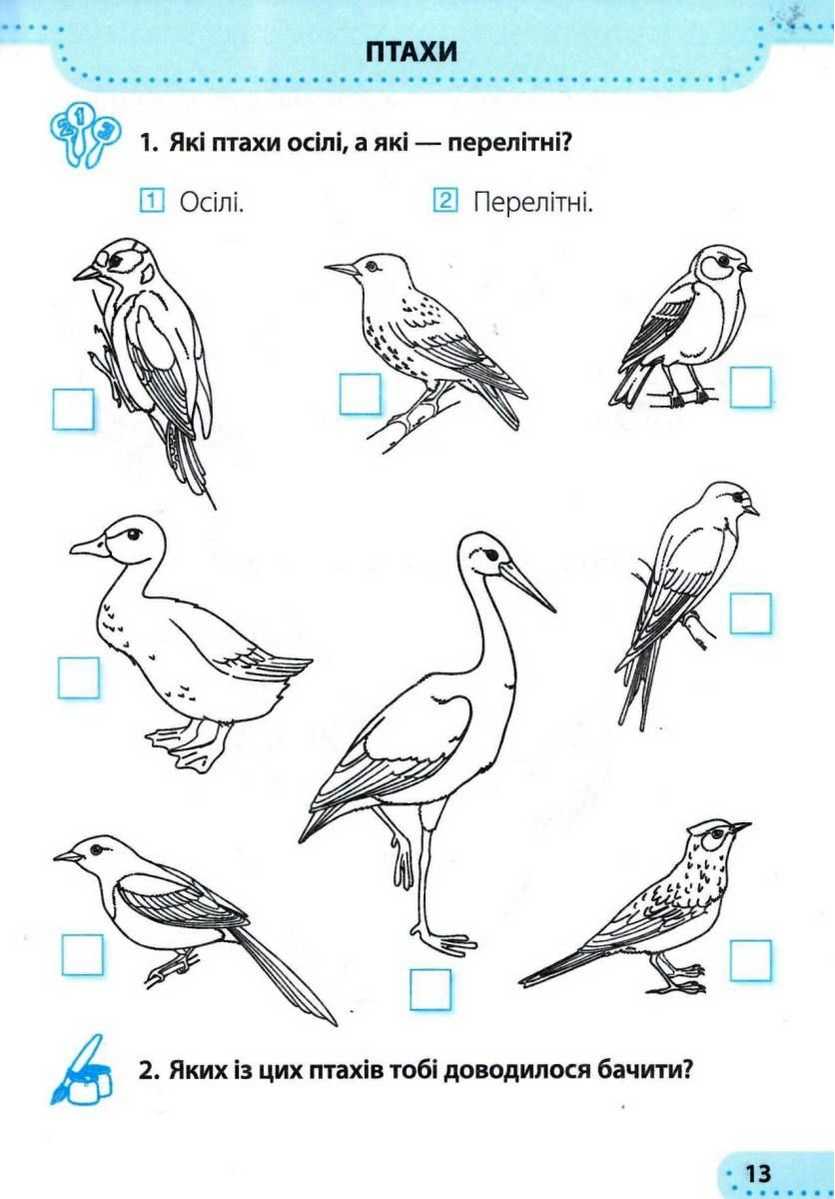 Робочий зошит Я досліджую світ 1 клас Частина 2 НУШ До підручника Гільберг Т. Авт: Жаркова І. Мечник Л. Вид-во: Підручники і посібники - фото 2