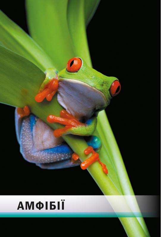 Навчальний посібник Тварини лікують 7 клас Авт: А. Заморока М. Драгулян Вид-во: Соняшник - фото 6