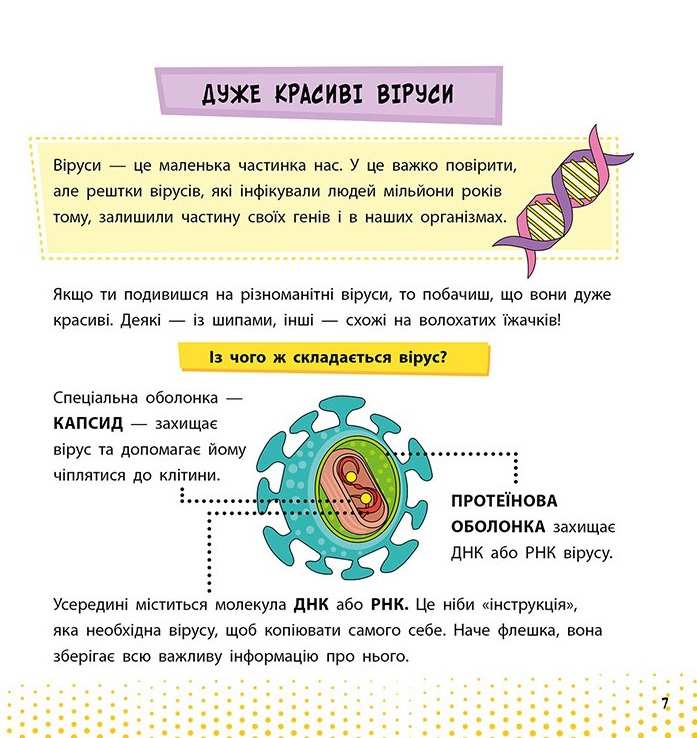 Просто про науку Ці неймовірні віруси Бушковська Н. АССА - фото 2