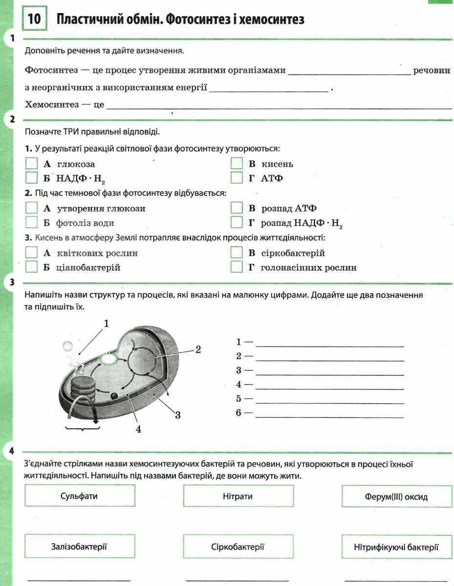 Робочий зошит Біологія 9 клас Задорожний К. Ранок - фото 2