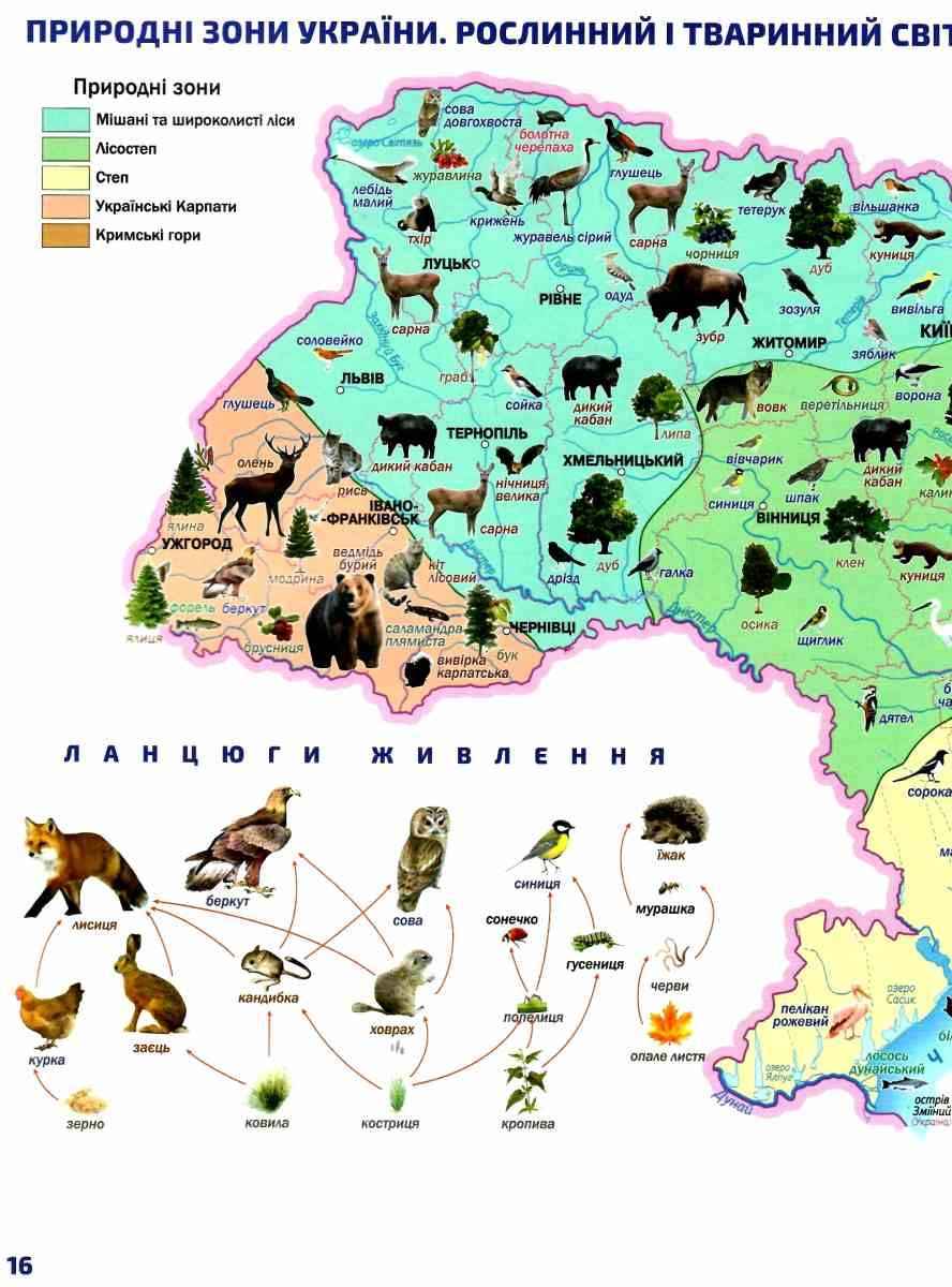 Атлас з контурними картами Я досліджую світ 4 клас НУШ Авт: Гільберг Т. Вид-во: Оріон - фото 5