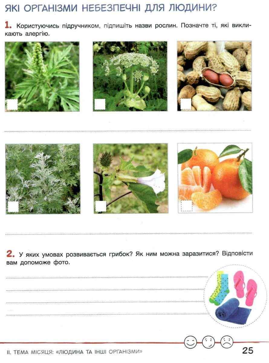 Зошит дослідника 4 клас Частина 1 НУШ Авт: Іщенко О.Л. Іщенко А.Ю. Вид-во: Літера - фото 7