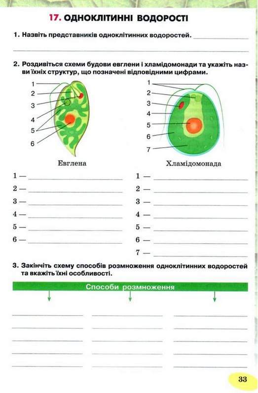 Робочий зошит з біології 6 клас Нова програма До підручника Костіков І.Ю. та ін. Авт: Котик Т.С. Вид-во: Освіта - фото 5