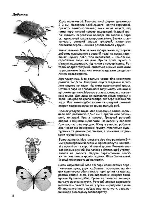 Зошит для практичних робіт і лабораторних досліджень Біологія 7 клас Нова програма Авт: Остапченко Л. Авт: Кулініч О.М. Вид-во: Генеза - фото 4