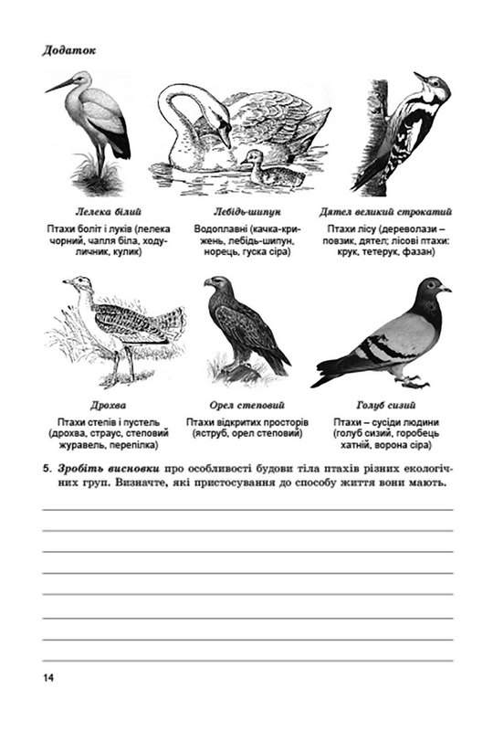 Зошит для практичних робіт і лабораторних досліджень Біологія 7 клас Нова програма Авт: Остапченко Л. Авт: Кулініч О.М. Вид-во: Генеза - фото 5
