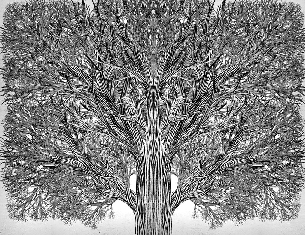 Школа Добра і Зла. Єдиний Істинний король (кн. 6) - фото 3