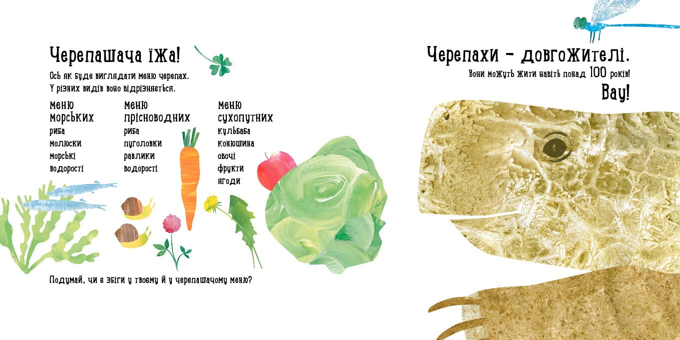 Куди поділася черепаха? - фото 2