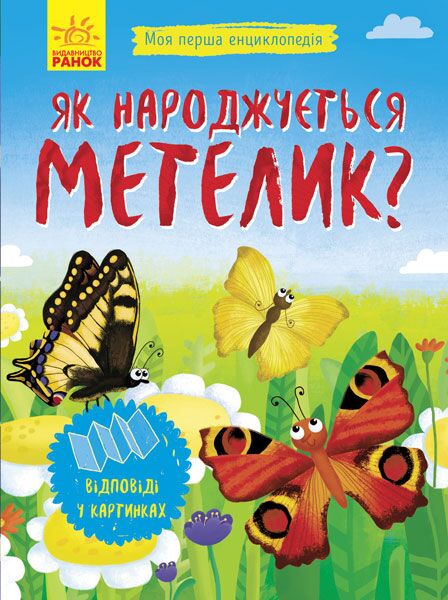 Як народжується метелик?