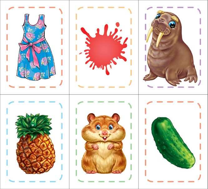 Знайди та збери Пізнайко Авторська група МАГ Ранок - фото 3