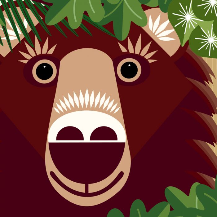 Лісова компанія - фото 3