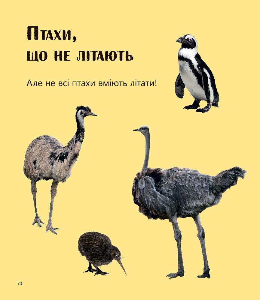 Великі тварини і не тільки... Рівень 1 - фото 2