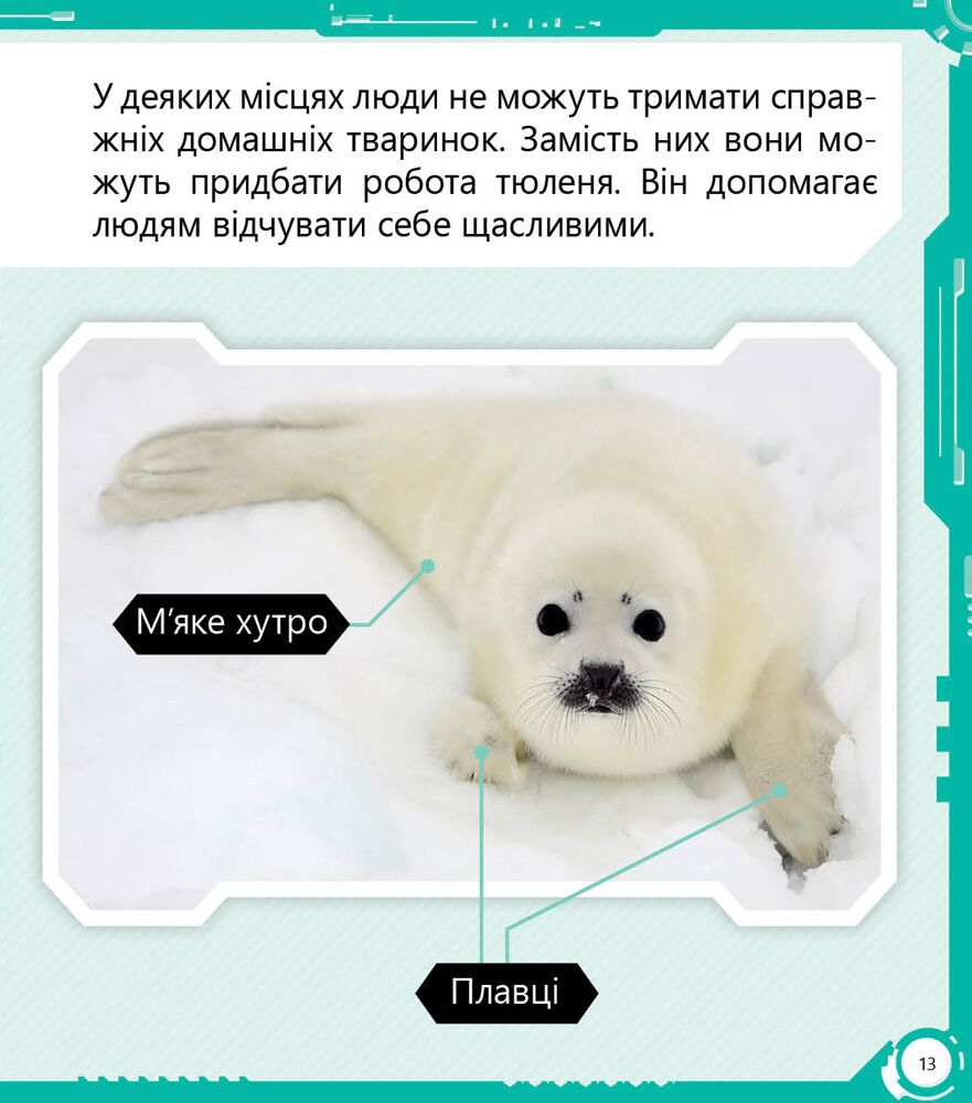 Робопарк і не тільки… Рівень 4 - фото 5