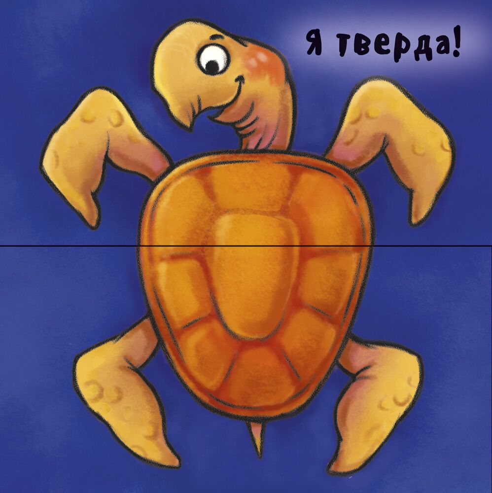 Отакі різні - фото 5