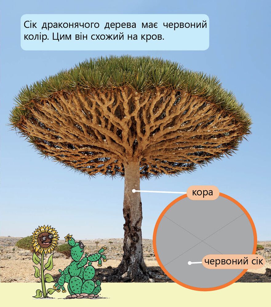 Фантастичні рослини і не тільки… Рівень 3 - фото 5