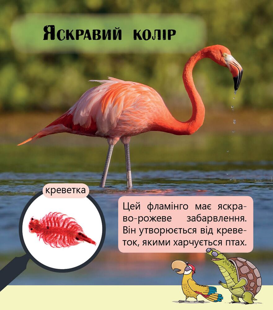 Фантастичні рослини і не тільки… Рівень 3 - фото 6