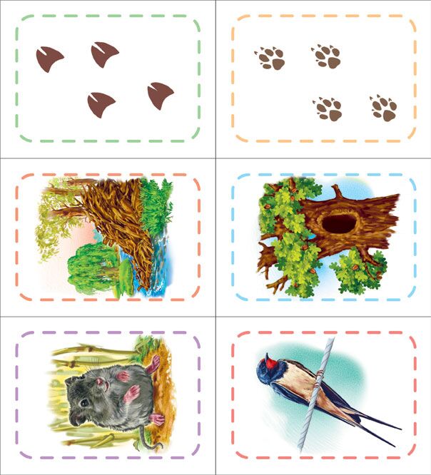 Хто де живе? - фото 3