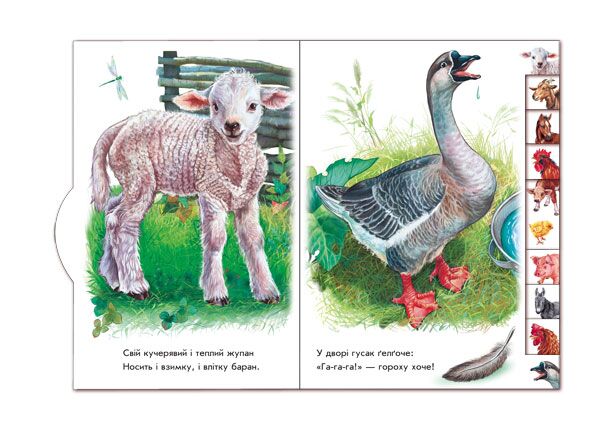 На подвірї - фото 2