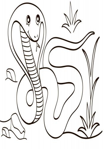 Екзотичні тварини Водні розмальовки Ранок - фото 3