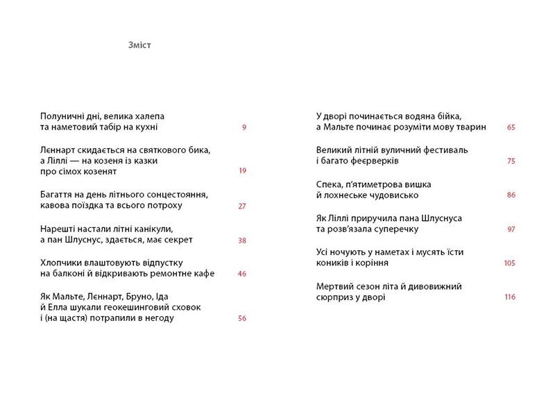 Літо на Бузиновій вулиці - фото 2