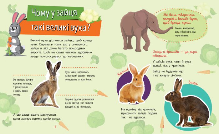 Тварини - фото 2