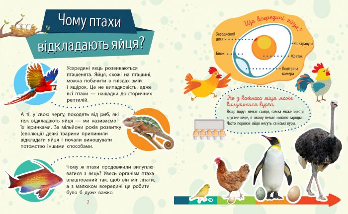 Тварини - фото 3