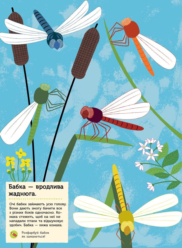 Комахи саду - фото 2