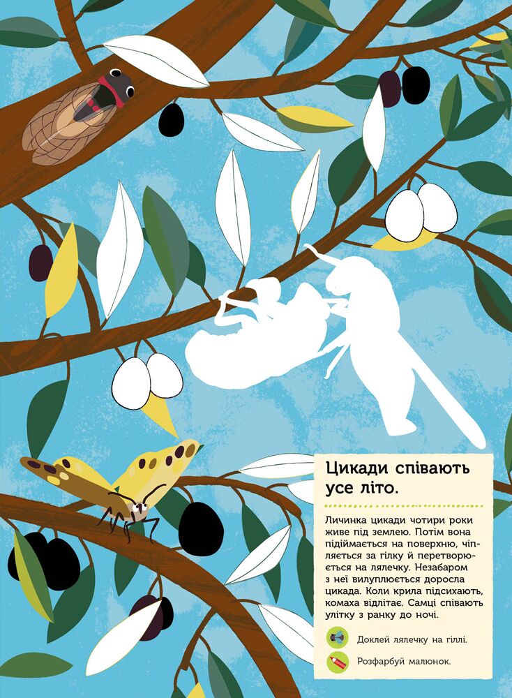 Комахи саду - фото 3