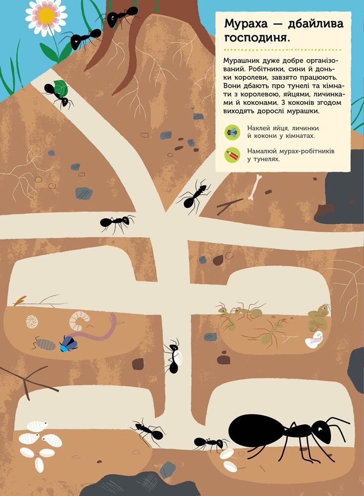 Комахи саду - фото 4