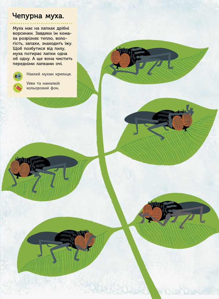 Комахи саду - фото 5