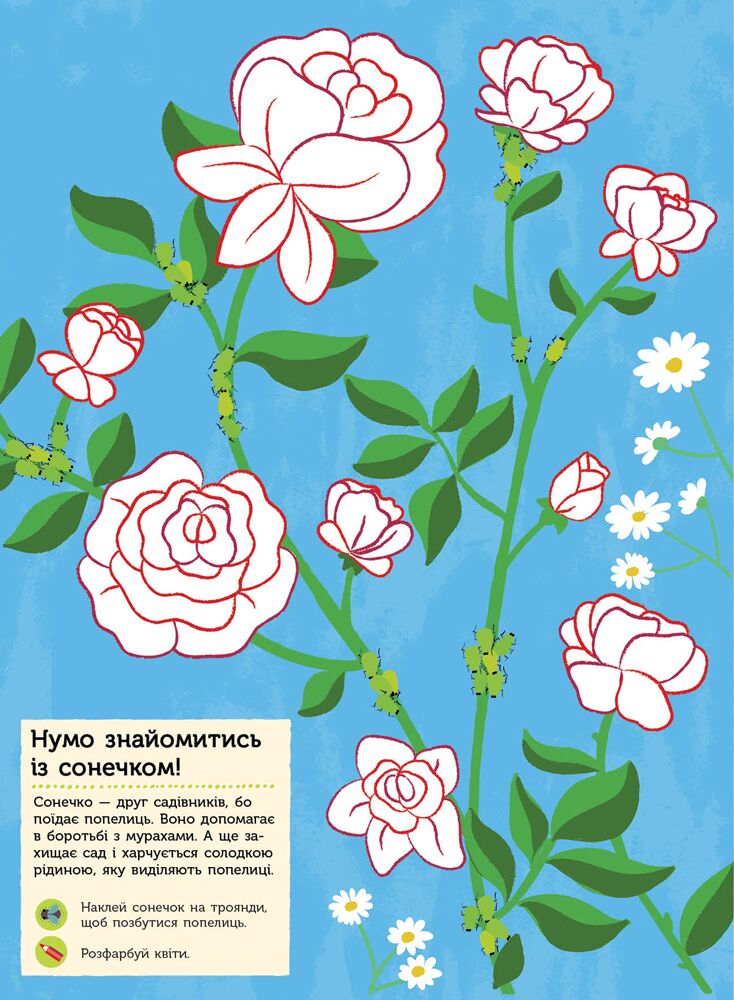 Комахи саду - фото 6