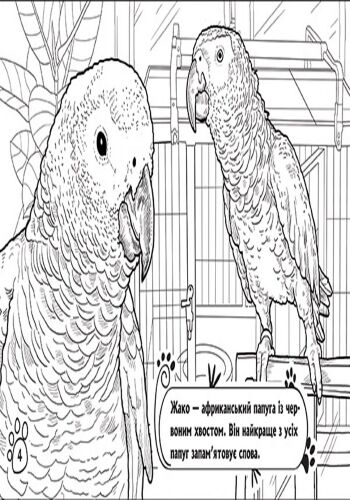 Серія Тварини В оселі Розмальовка Ранок - фото 2