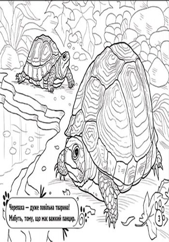 Серія Тварини В оселі Розмальовка Ранок - фото 3