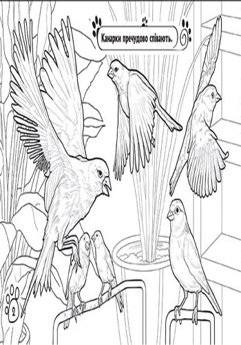 Серія Тварини В оселі Розмальовка Ранок - фото 4