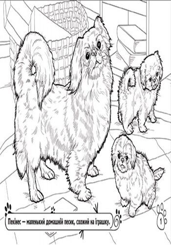 Серія Тварини В оселі Розмальовка Ранок - фото 5