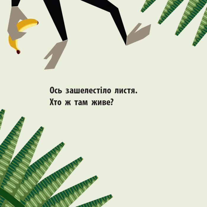 Команда джунглів Книга-картонка Мадлєн Роджерс Ранок - фото 4