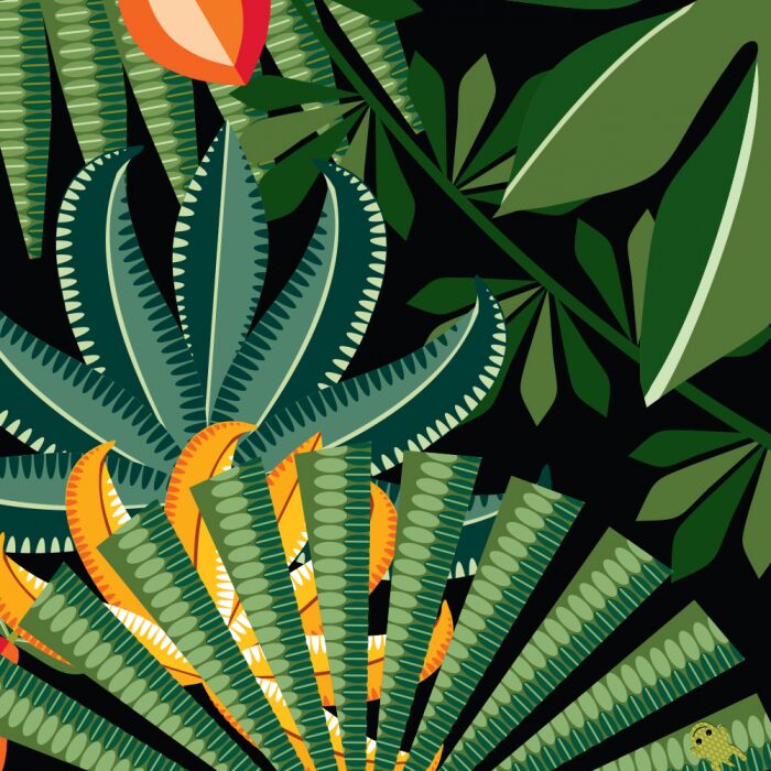 Команда джунглів Книга-картонка Мадлєн Роджерс Ранок - фото 5