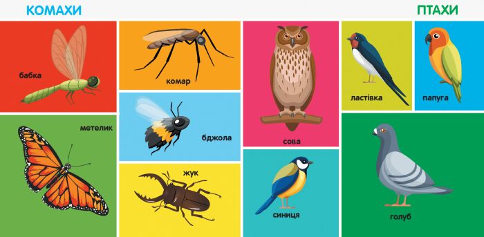 100 перших слів - фото 3