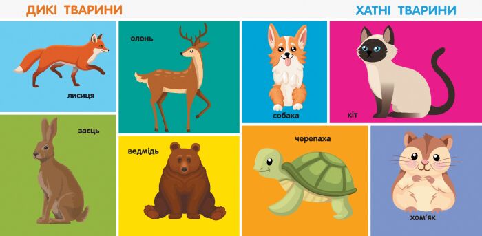 100 перших слів - фото 4