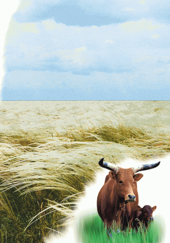 Парки та заповідники - фото 3