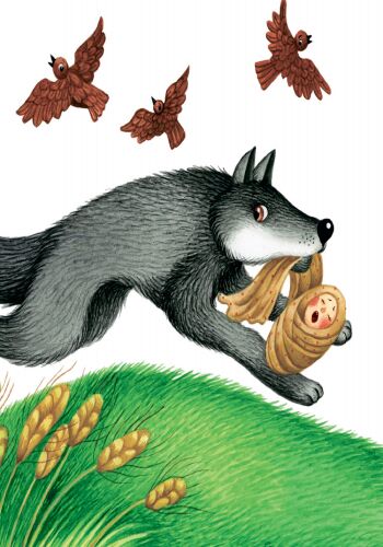 Сірко - фото 3