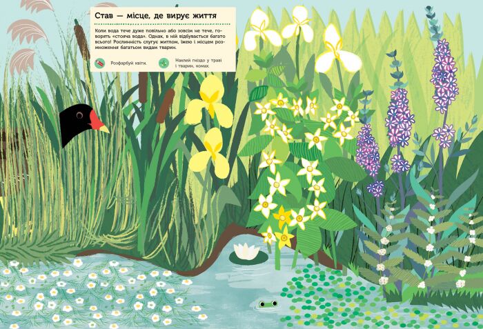 Річка і ставок - фото 2